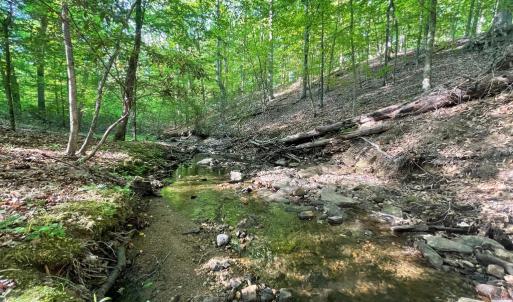 Photo #1 of DEER MOUNTAIN RD, FREDERICKSBURG, VA 5.3 acres