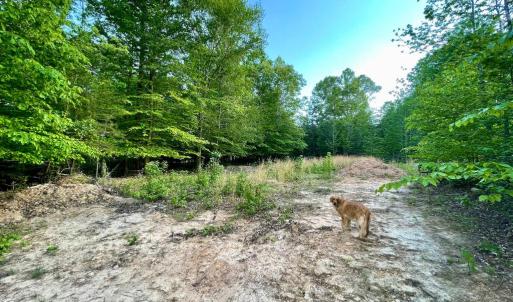 Photo #3 of DEER MOUNTAIN RD, FREDERICKSBURG, VA 5.3 acres