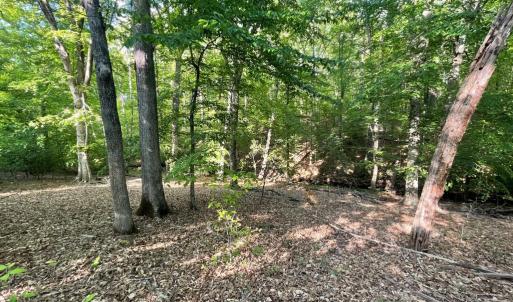 Photo #20 of DEER MOUNTAIN RD, FREDERICKSBURG, VA 5.3 acres