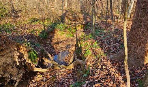 Photo #1 of WAUGH RD, UNIONVILLE, VA 30.8 acres