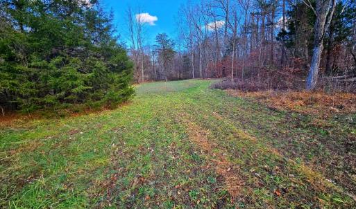 Photo #3 of WAUGH RD, UNIONVILLE, VA 30.8 acres