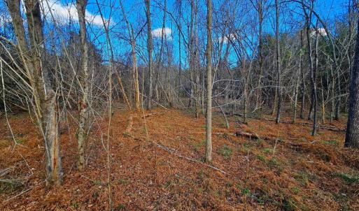 Photo #7 of WAUGH RD, UNIONVILLE, VA 30.8 acres