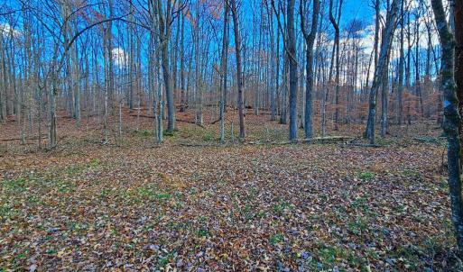 Photo #8 of WAUGH RD, UNIONVILLE, VA 30.8 acres