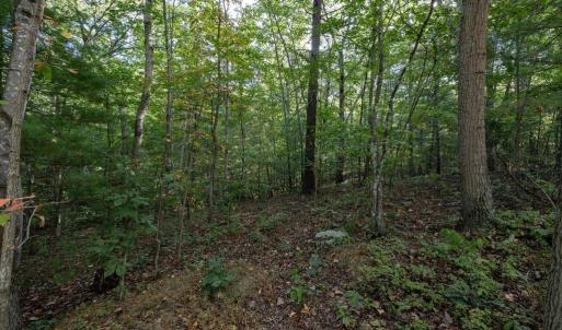 Photo #32 of HOLIDAY HILL RD., LURAY, VA 1.3 acres