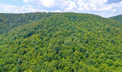 Photo #4 of STONY POINT PASS, KESWICK, VA 123.8 acres