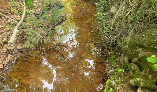 Photo #5 of STONY POINT PASS, KESWICK, VA 123.8 acres