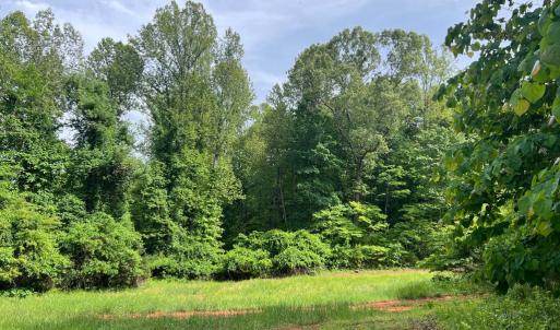 Photo #13 of STONY POINT PASS, KESWICK, VA 123.8 acres