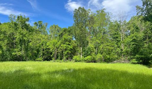 Photo #1 of STONY POINT PASS, KESWICK, VA 123.8 acres