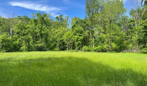 Photo #14 of STONY POINT PASS, KESWICK, VA 123.8 acres