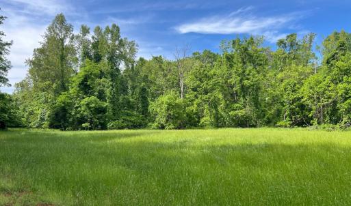 Photo #2 of STONY POINT PASS, KESWICK, VA 123.8 acres