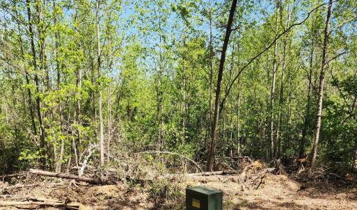Photo #3 of MASSEY RD, SPOTSYLVANIA, VA 16.5 acres