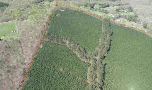 Photo #3 of  76.6 acres