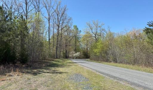 Photo #5 of  76.6 acres