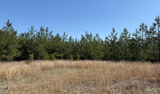 Photo #6 of  76.6 acres