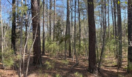 Photo #10 of  76.6 acres
