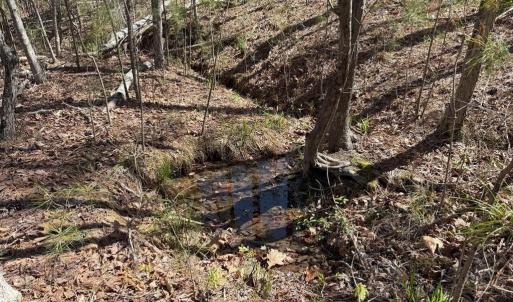 Photo #13 of  76.6 acres