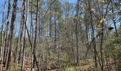 Photo #14 of  76.6 acres