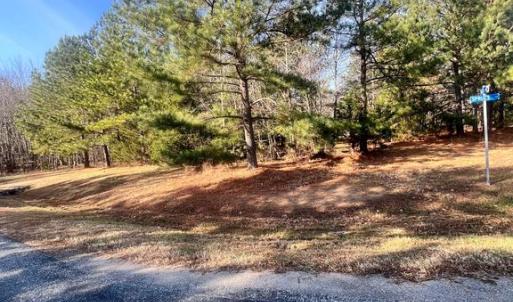 Photo #4 of 79 HEMLOCK LOOP, MINERAL, VA 1.0 acres