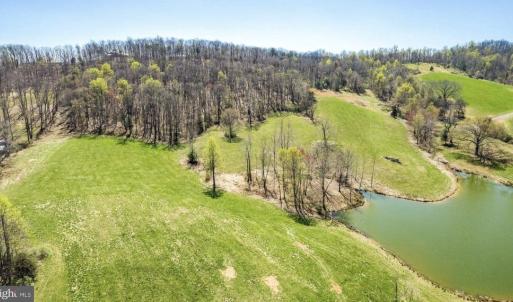 Photo #4 of HOLLY HILL FARM LANE, REVA, VA 12.2 acres