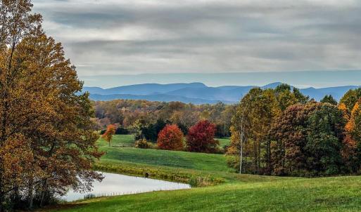 Photo #3 of HOLLY HILL FARM LANE, REVA, VA 10.4 acres