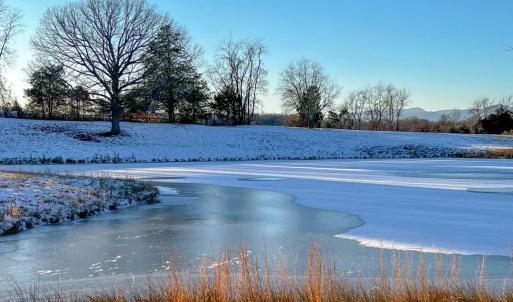 Photo #12 of HOLLY HILL FARM LANE, REVA, VA 10.4 acres