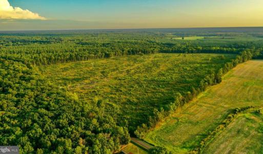 Photo #1 of OLD MILL RD, MIDLAND, VA 112.0 acres