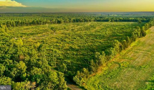 Photo #2 of OLD MILL RD, MIDLAND, VA 112.0 acres