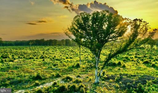 Photo #10 of OLD MILL RD, MIDLAND, VA 112.0 acres