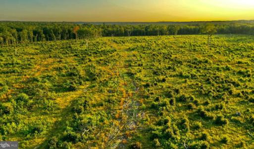 Photo #12 of OLD MILL RD, MIDLAND, VA 112.0 acres