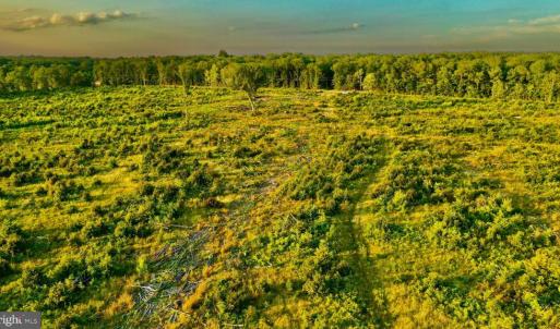 Photo #13 of OLD MILL RD, MIDLAND, VA 112.0 acres