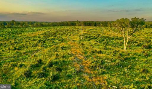 Photo #14 of OLD MILL RD, MIDLAND, VA 112.0 acres