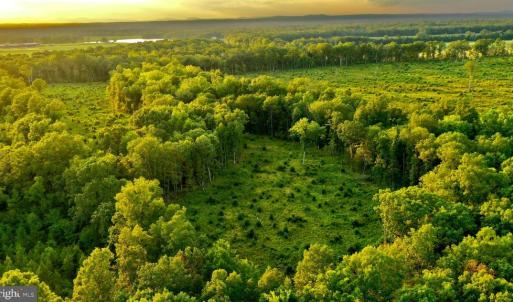 Photo #16 of OLD MILL RD, MIDLAND, VA 112.0 acres