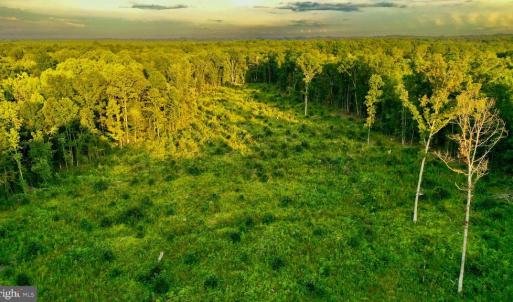 Photo #20 of OLD MILL RD, MIDLAND, VA 112.0 acres