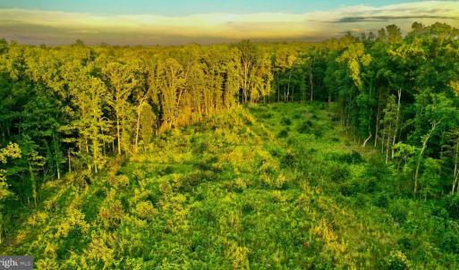Photo #22 of OLD MILL RD, MIDLAND, VA 112.0 acres
