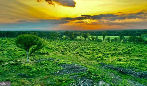 Photo #29 of OLD MILL RD, MIDLAND, VA 112.0 acres