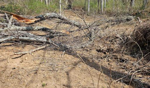 Photo #2 of MOON ROAD, SPERRYVILLE, VA 5.0 acres