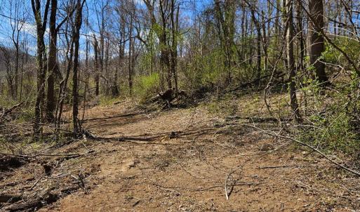 Photo #3 of MOON ROAD, SPERRYVILLE, VA 5.0 acres