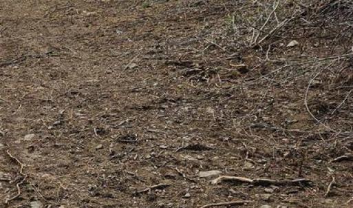 Photo #4 of MOON ROAD, SPERRYVILLE, VA 5.0 acres