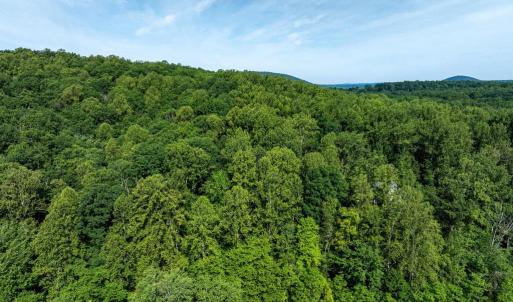 Photo #4 of FREE STATE RD, MARSHALL, VA 6.7 acres