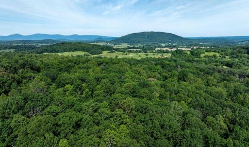 Photo #6 of FREE STATE RD, MARSHALL, VA 6.7 acres