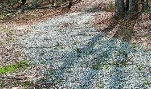 Photo #1 of CURLEY LN, BUMPASS, VA 4.3 acres