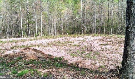 Photo #2 of CURLEY LN, BUMPASS, VA 4.3 acres