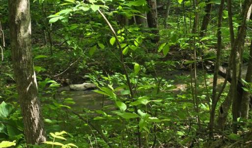 Photo #8 of 4127 HARDSCRABBLE, LINDEN, VA 13.2 acres