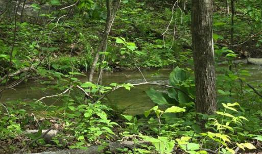 Photo #9 of 4127 HARDSCRABBLE, LINDEN, VA 13.2 acres
