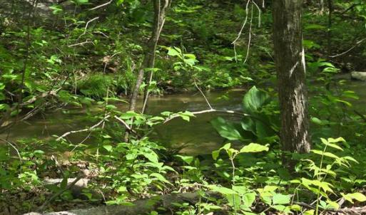 Photo #10 of 4127 HARDSCRABBLE, LINDEN, VA 13.2 acres