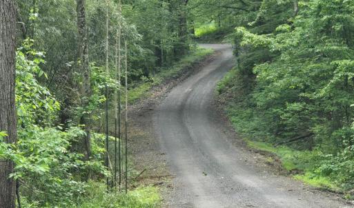 Photo #14 of 4127 HARDSCRABBLE, LINDEN, VA 13.2 acres