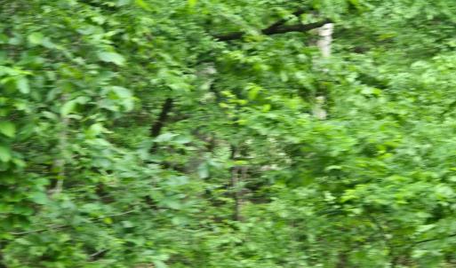 Photo #16 of 4127 HARDSCRABBLE, LINDEN, VA 13.2 acres