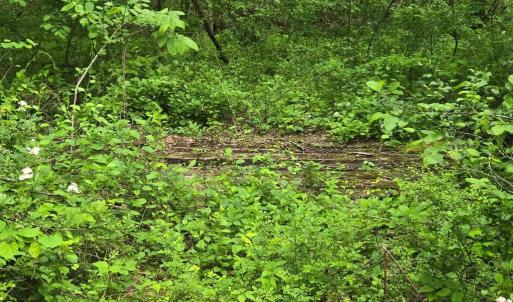 Photo #2 of 4127 HARDSCRABBLE, LINDEN, VA 13.2 acres