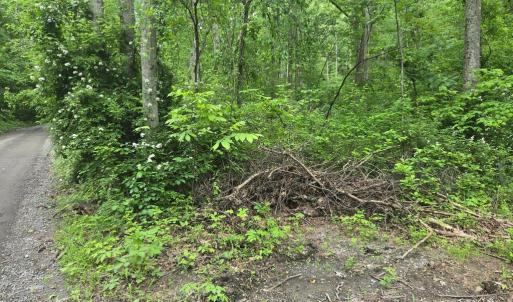 Photo #6 of 4127 HARDSCRABBLE, LINDEN, VA 13.2 acres