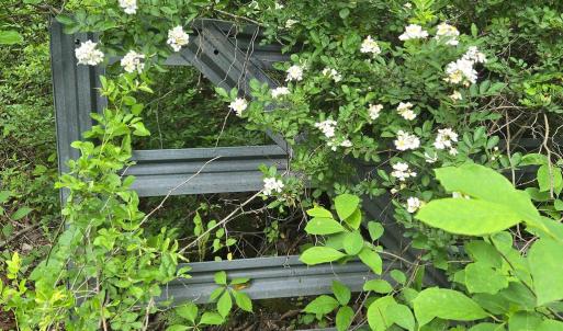 Photo #1 of 4127 HARDSCRABBLE, LINDEN, VA 13.2 acres